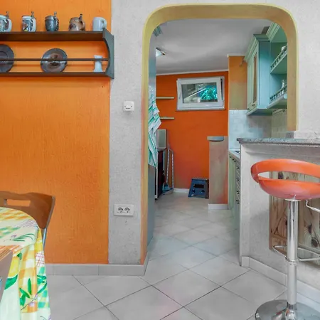 Apartment Gorgeous In With Kitchen